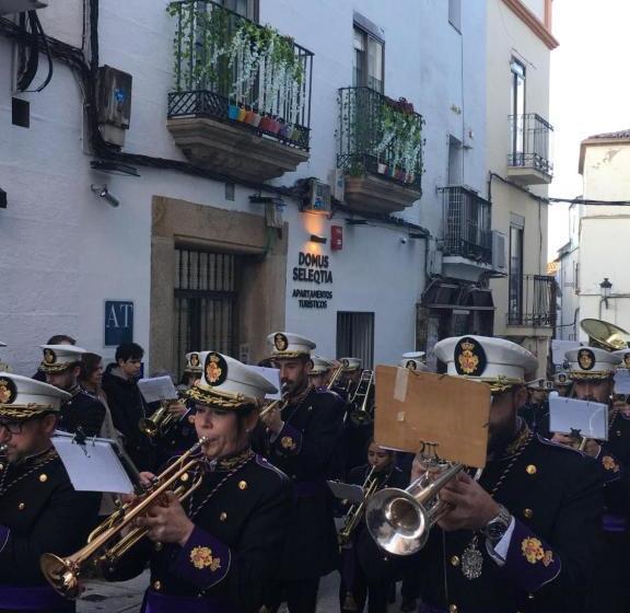 Apartamentos Turísticos Domus Seleqtia Plaza Mayor