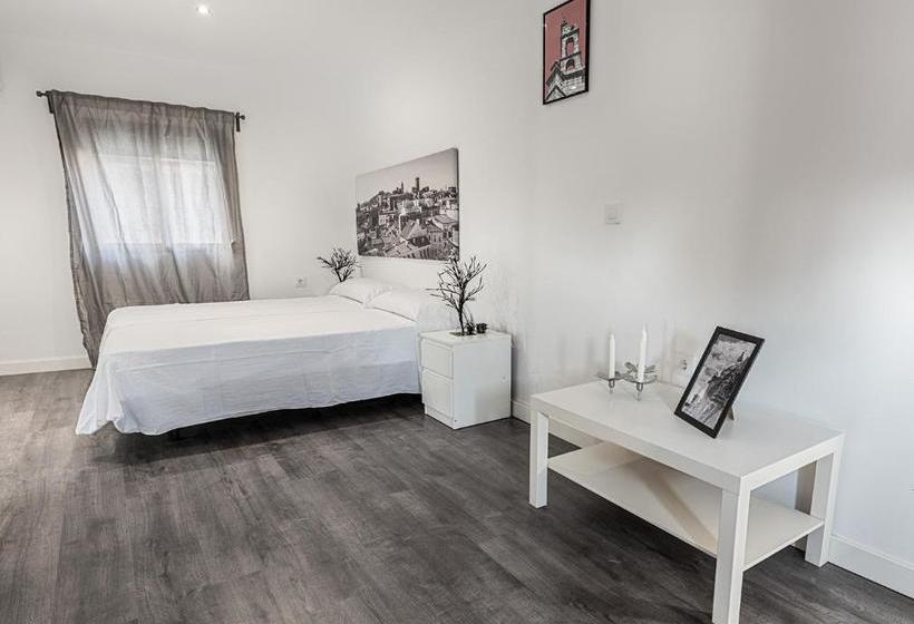 Apartamentos Turísticos Domus Seleqtia Plaza Mayor