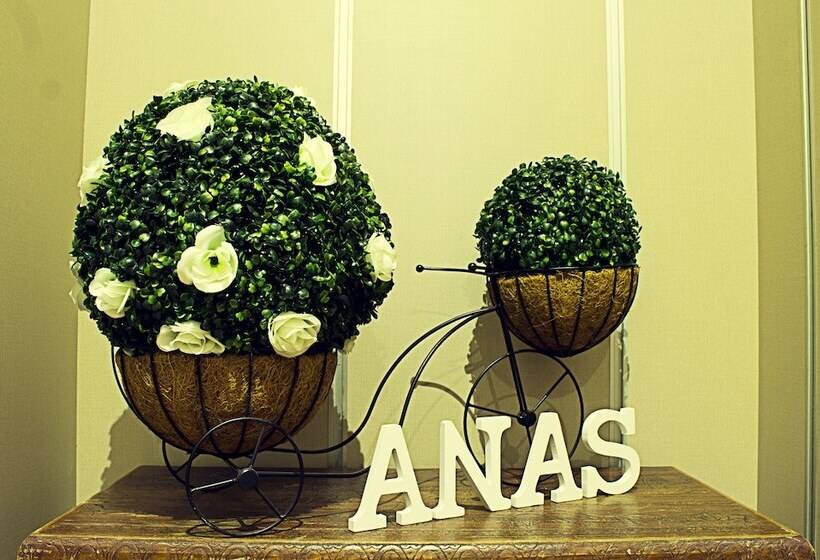 Hostal Anas