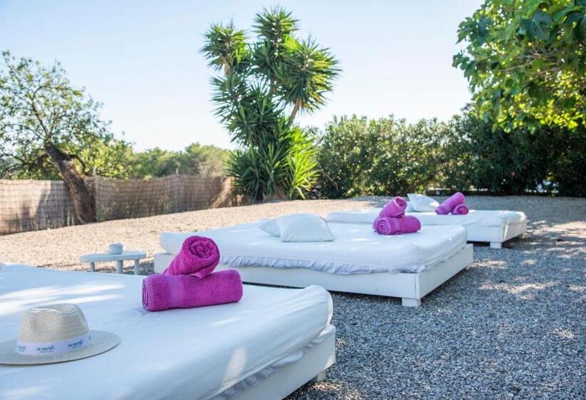 酒店 Agroturismo Can Cosmi Prats