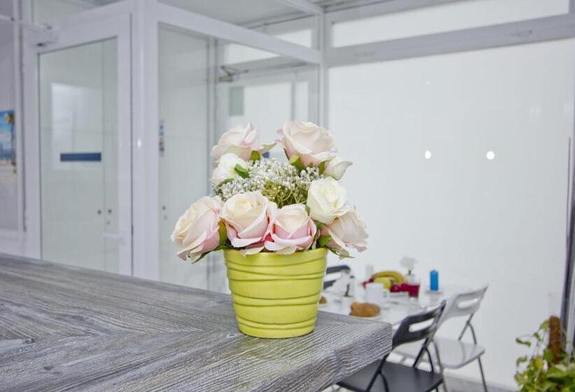 ホテル Barcelona City Rooms