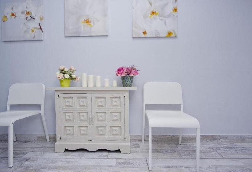 ホテル Barcelona City Rooms