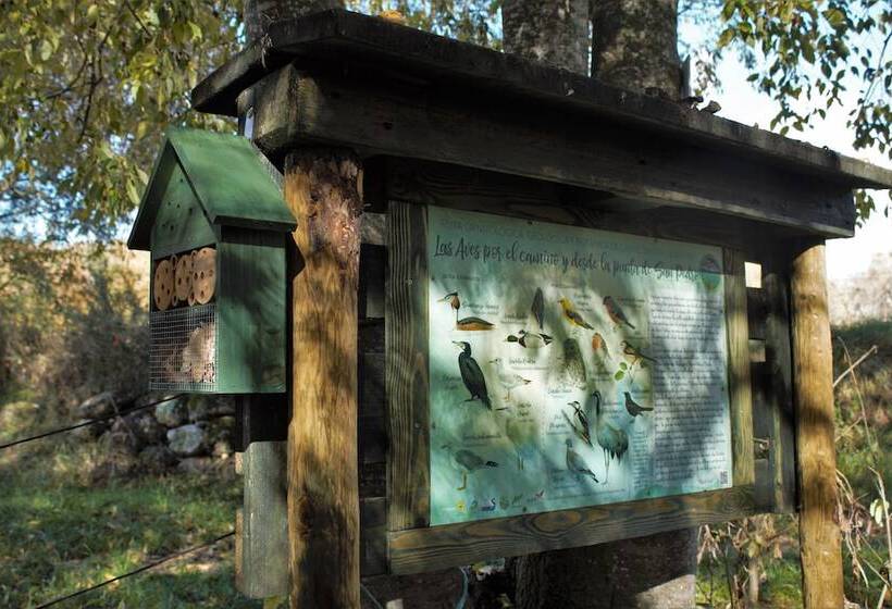 Отель Casa Gerbe