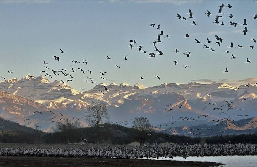Отель Casa Gerbe
