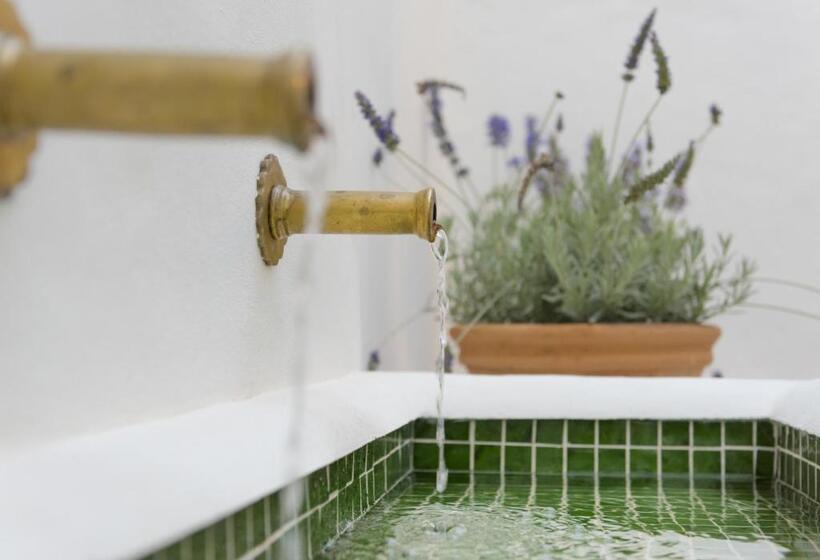 酒店 Casa Shelly Hospederia