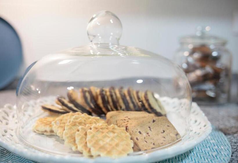 酒店 Casa Shelly Hospederia