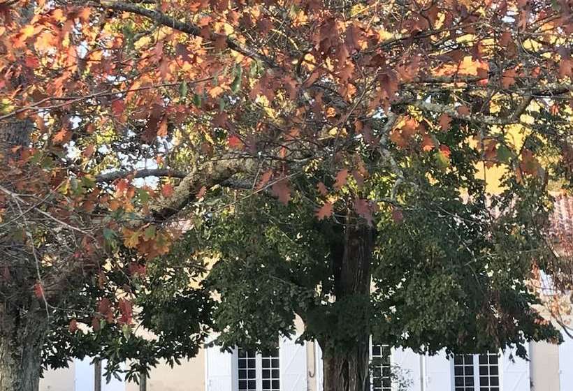 ホテル Chambres Du Bocage