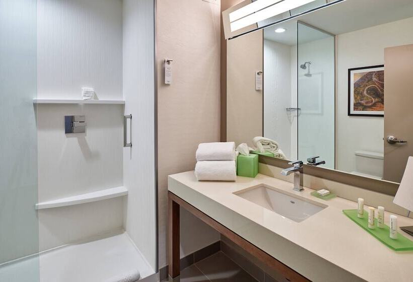 בית מלון כפרי Courtyard By Marriott El Paso Downtown/convention Center