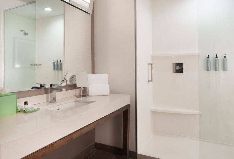 בית מלון כפרי Courtyard By Marriott El Paso Downtown/convention Center