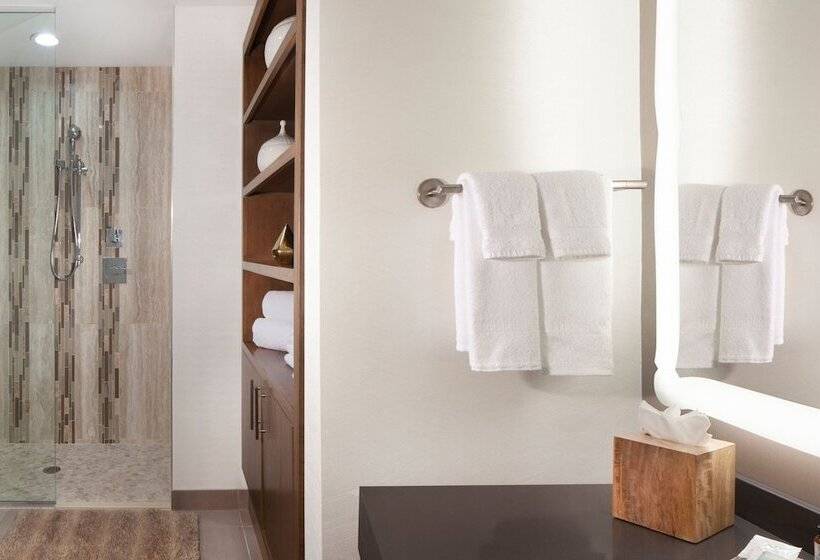 בית מלון כפרי Courtyard By Marriott El Paso Downtown/convention Center