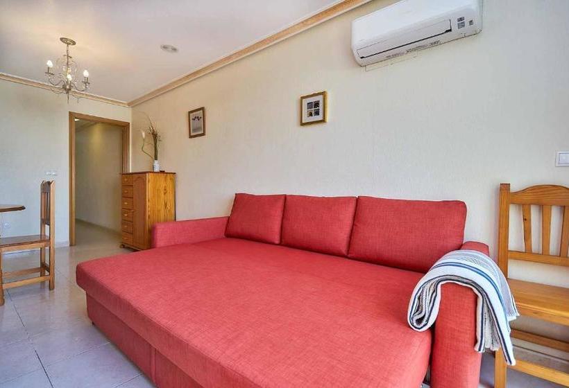 酒店 Espanhouse Manuel Galian 50