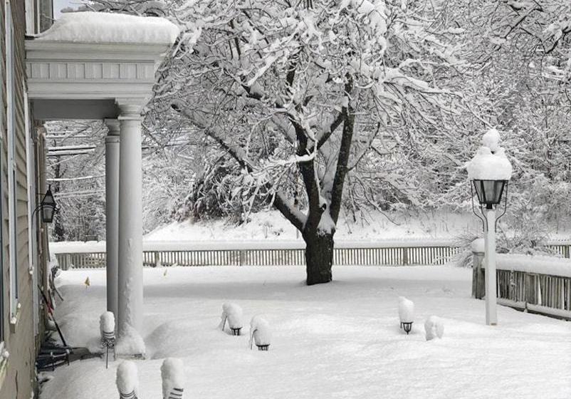 ホテル Evergreen Bed & Breakfast