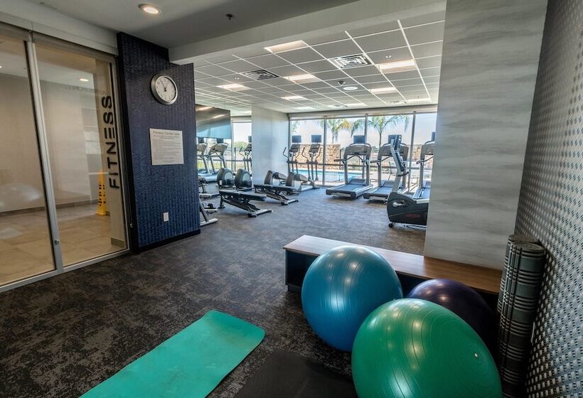 בית מלון כפרי Fairfield Inn & Suites By Marriott Brownsville North