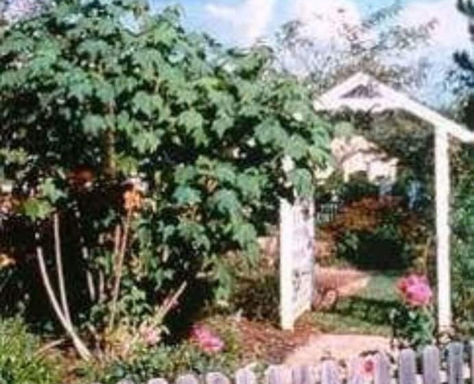 Отель Far View   A Bed & Breakfast Estate