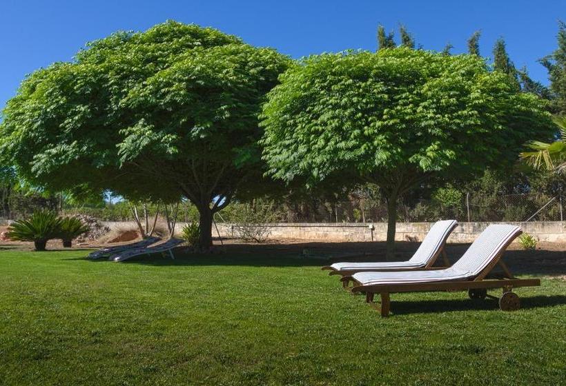 호텔 Finca Can Coll