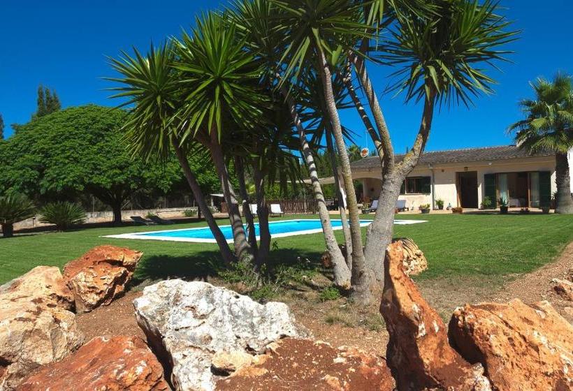 호텔 Finca Can Coll