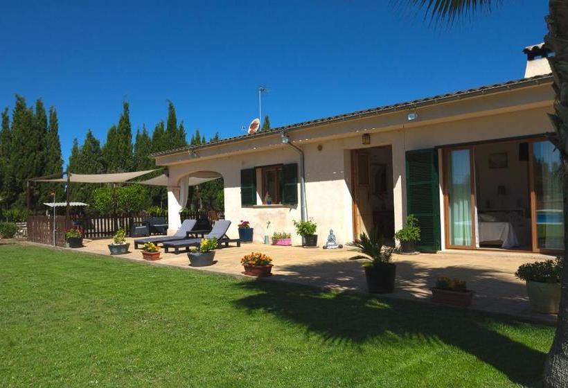 호텔 Finca Can Coll