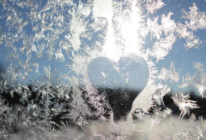 ホテル Guesthouse Arctic Heart