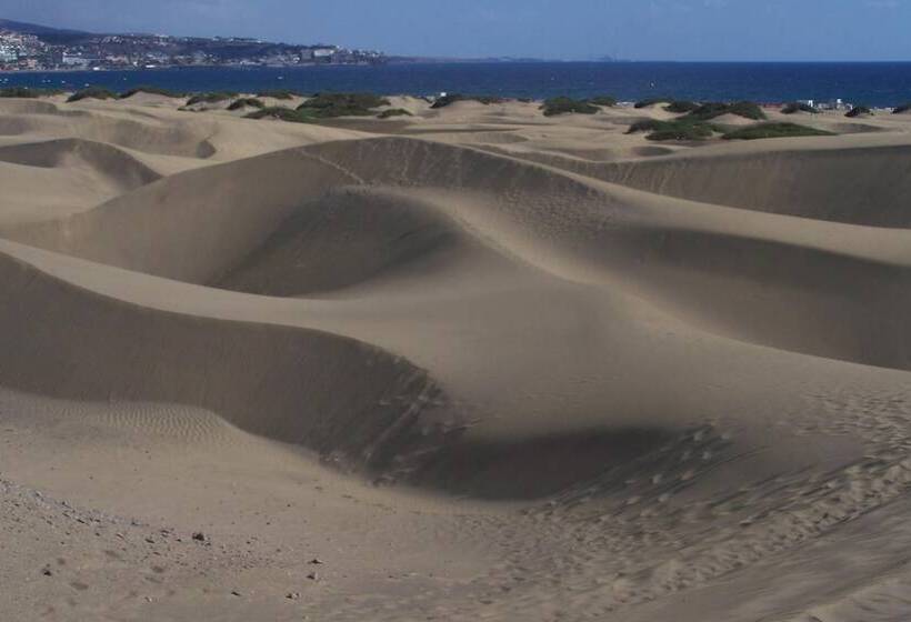 酒店 Hapimag San Agustin