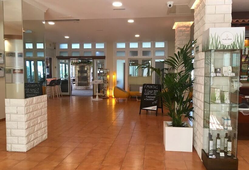 酒店 Hapimag San Agustin