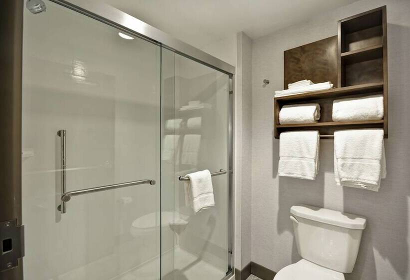 فندق Homewood Suites By Hilton Detroit