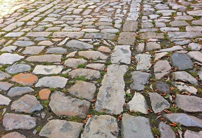 هتل Hospedaje Octavio