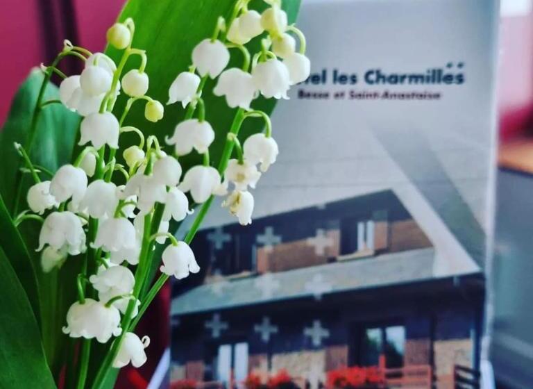 호텔 Hôtel Les Charmilles