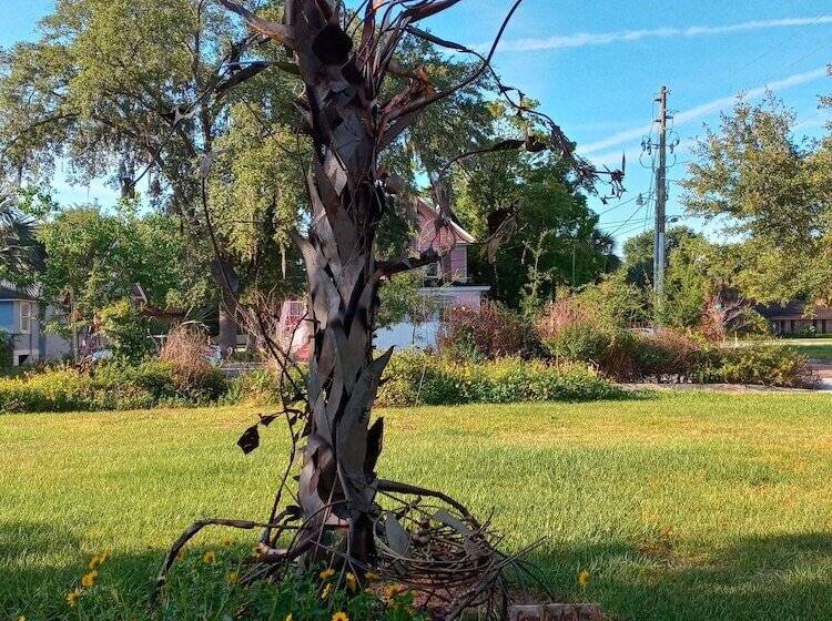 בית מלון כפרי Kapp And Kappy B&b