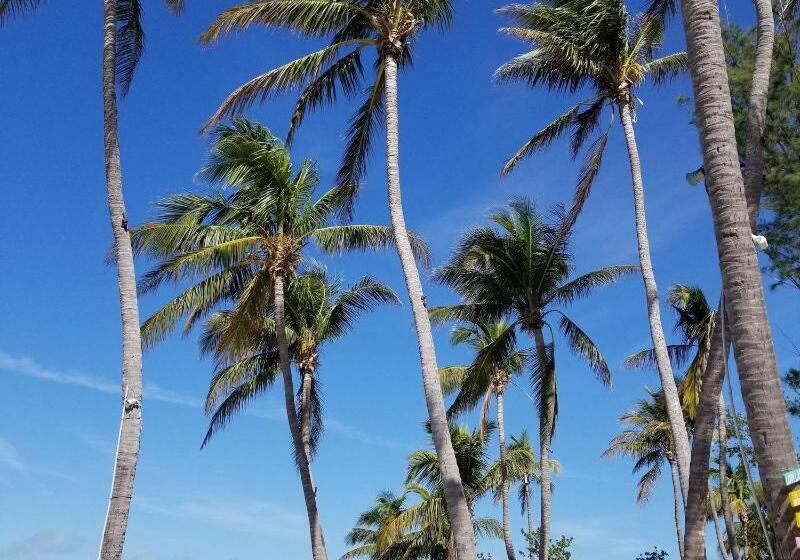 فندق La Jolla Resort