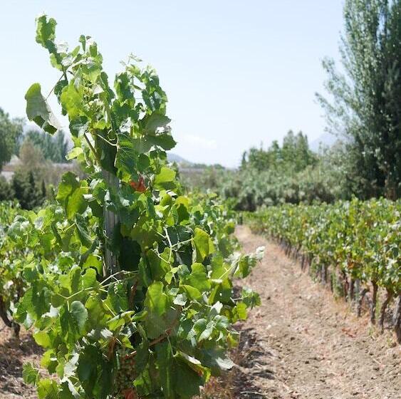 Boutique La Perlablanca By Bossh! Hotels