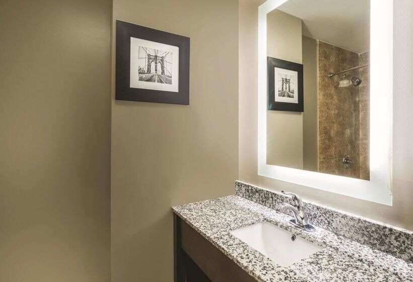 Отель La Quinta Inn & Suites By Wyndham Brooklyn Central