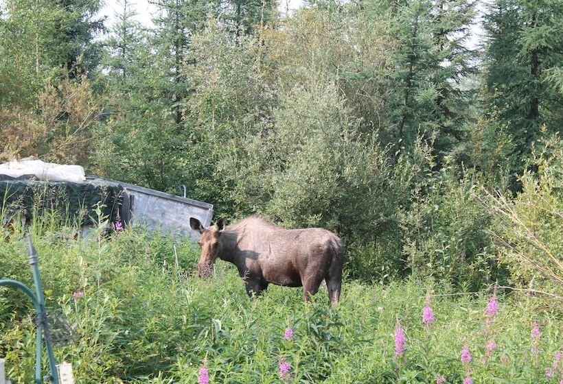 호텔 Moose Tracks B & B