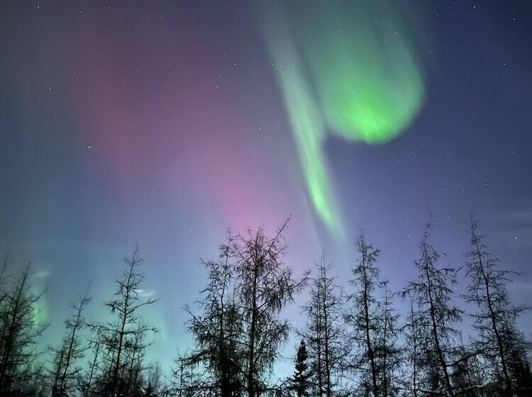 호텔 Moose Tracks B & B