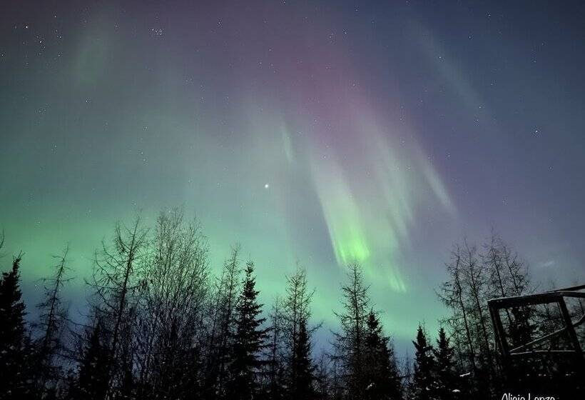 호텔 Moose Tracks B & B