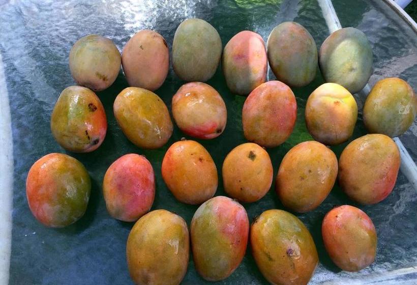 בית מלון כפרי Ocean Breeze Hideaway