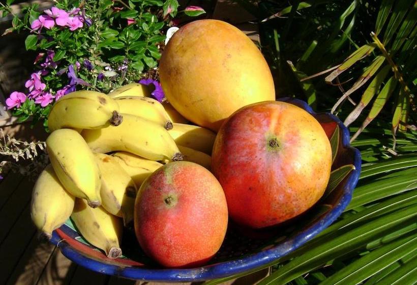 בית מלון כפרי Ocean Breeze Hideaway