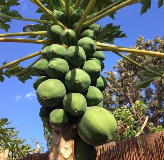 בית מלון כפרי Ocean Breeze Hideaway