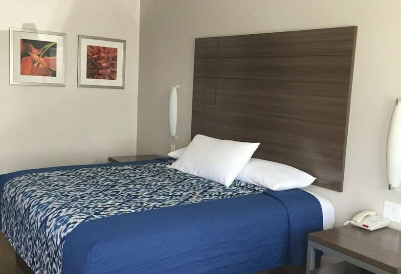 فندق Palace Inn Gulfgate