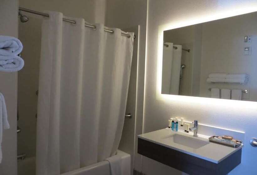 فندق Palace Inn Gulfgate