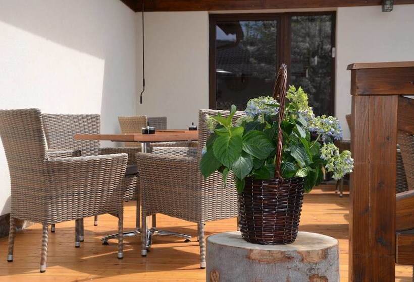 فندق Penzión Darinka