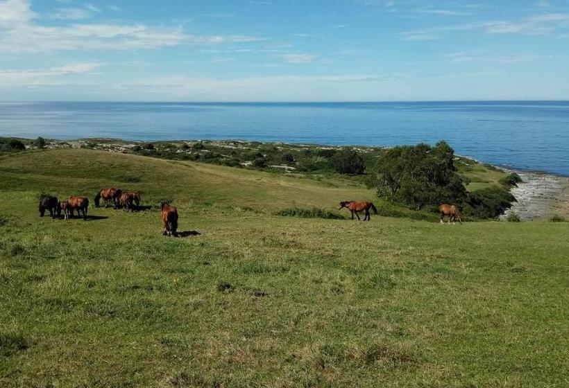 هتل Posada Punta Liñera
