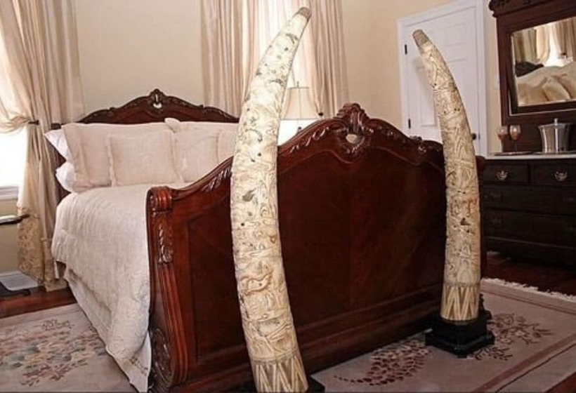 فندق Rising Sun Bed & Breakfast