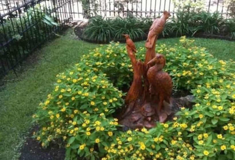 فندق Rising Sun Bed & Breakfast