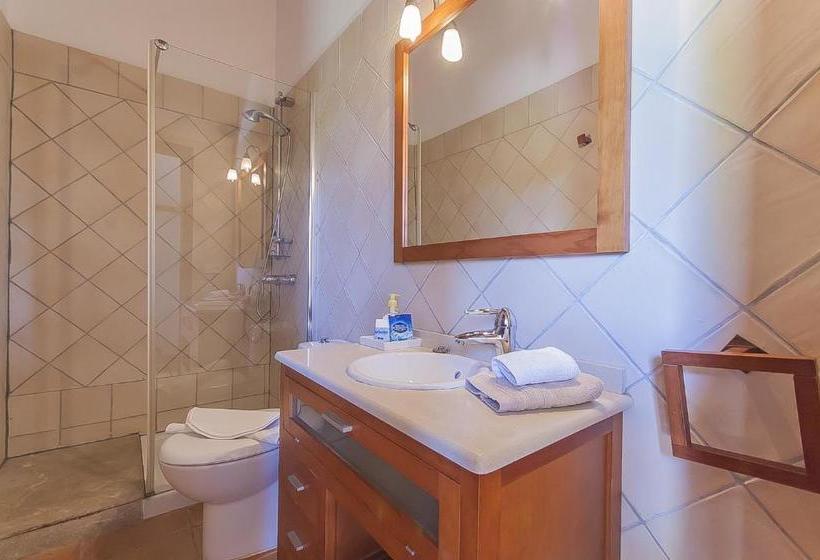 בית מלון כפרי Sa Bona Casa