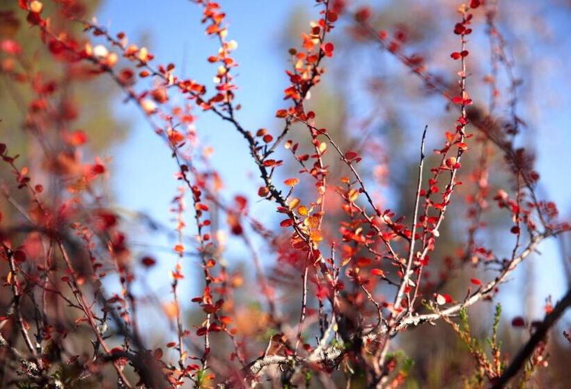 فندق Saariselkä Inn Majatalo Panimo