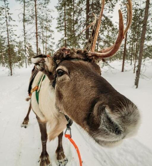 فندق Saariselkä Inn Majatalo Panimo