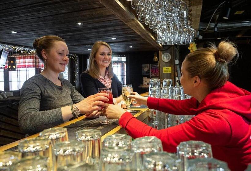 فندق Saariselkä Inn Majatalo Panimo