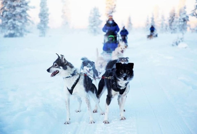 فندق Saariselkä Inn Majatalo Panimo