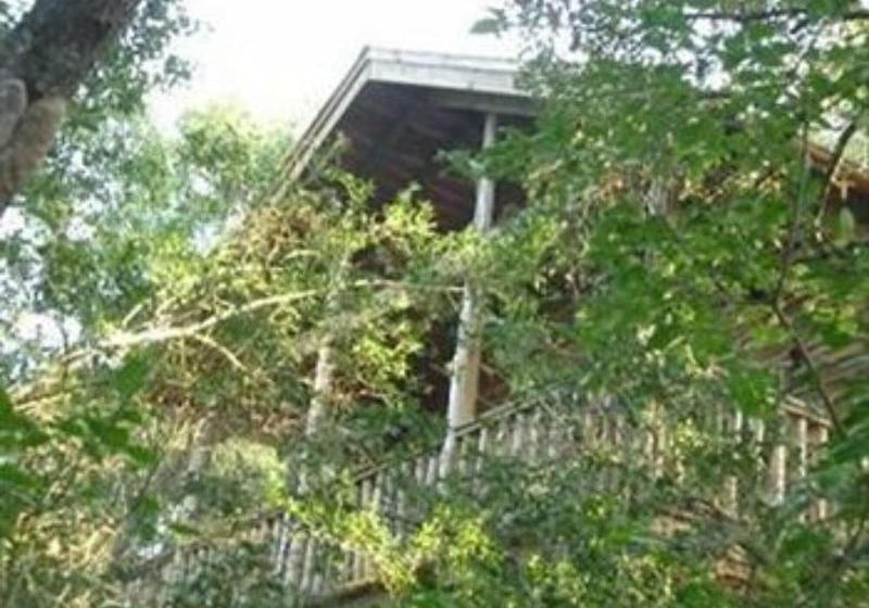 ホテル Scenic Hill Retreat