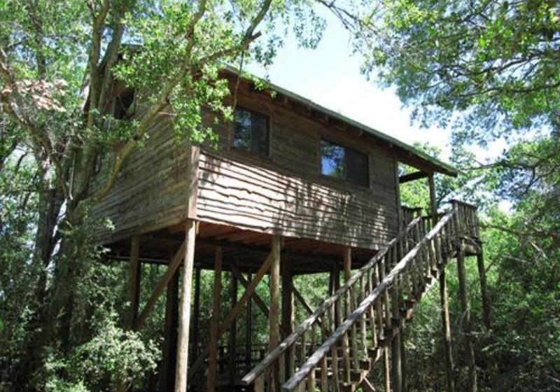 ホテル Scenic Hill Retreat